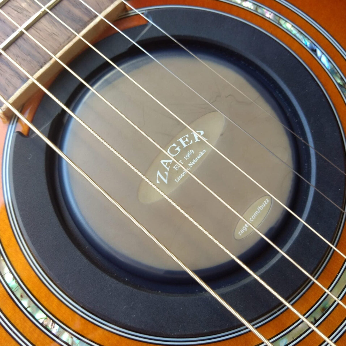 zager guitar humidification system