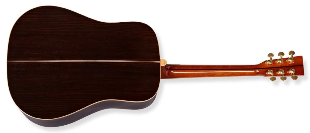 ZAD900 Solid Spruce/Rosewood Acoustic Pro Series