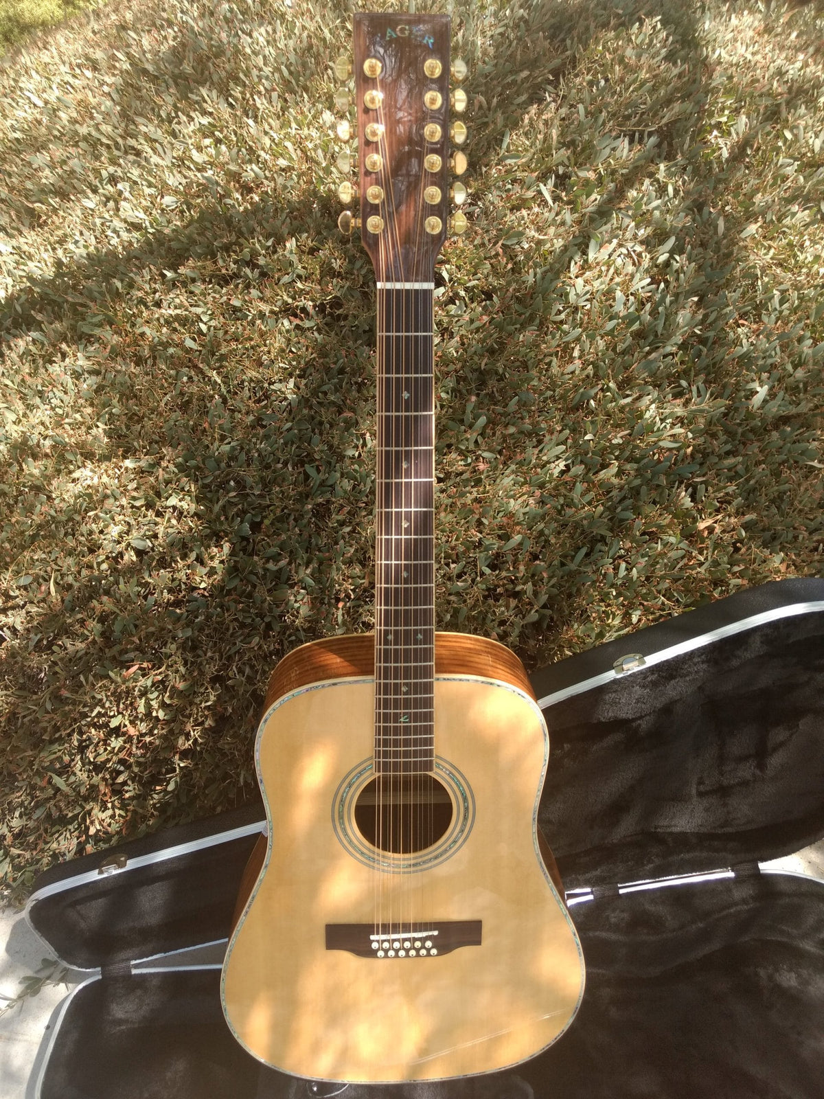 ZAD900E Solid Spruce/Rosewood Acoustic Electric AURA Pro Series Full Box Deal Of The Day