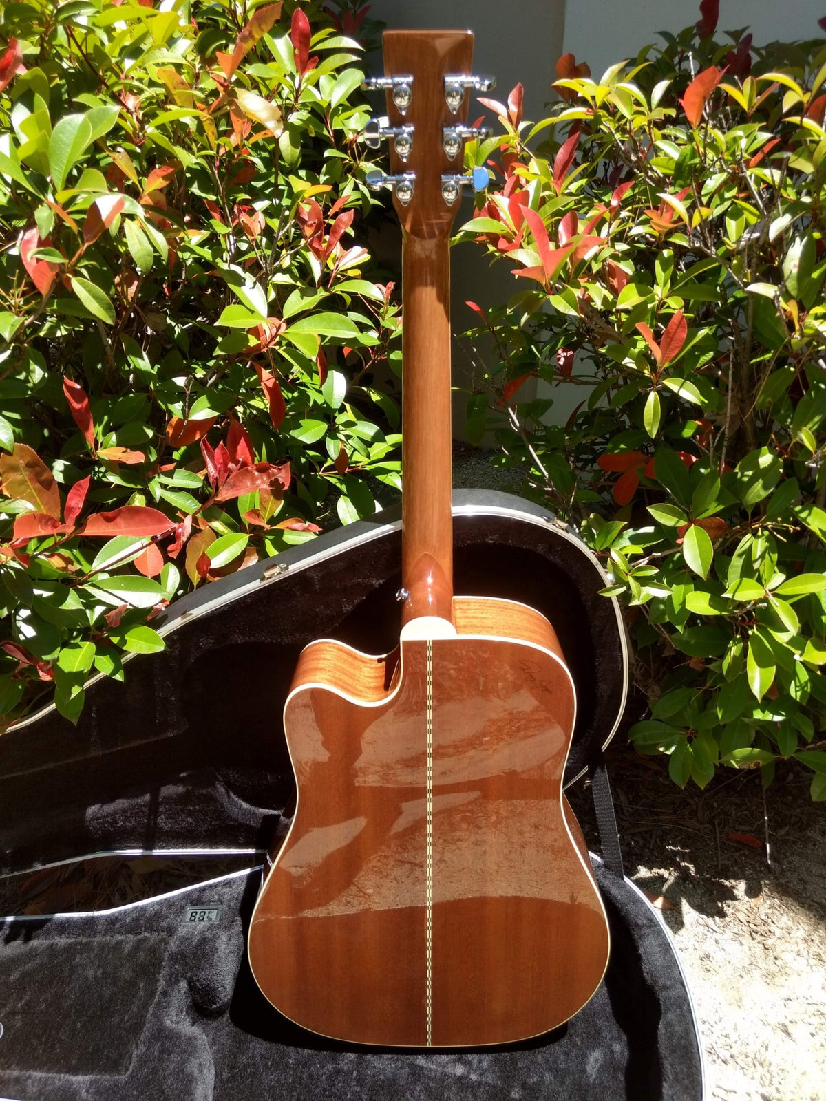 ZAD50CE Solid African Mahogany Acoustic Electric - DEAL OF THE DAY