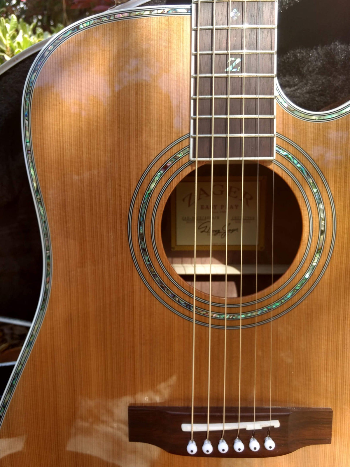 ZAD80CE Solid Cedar/Rosewood Acoustic Electric "AURA" Pro Series
