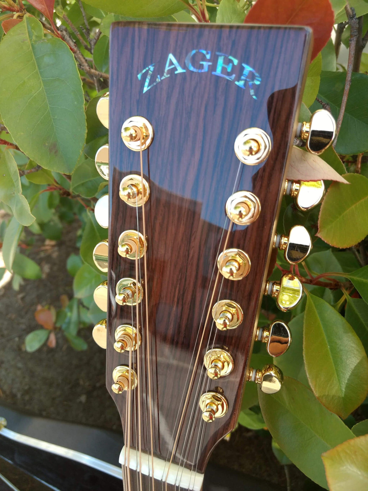 ZAD900CE 12 String Solid Spruce/Rosewood Acoustic Electric AURA Pro Series