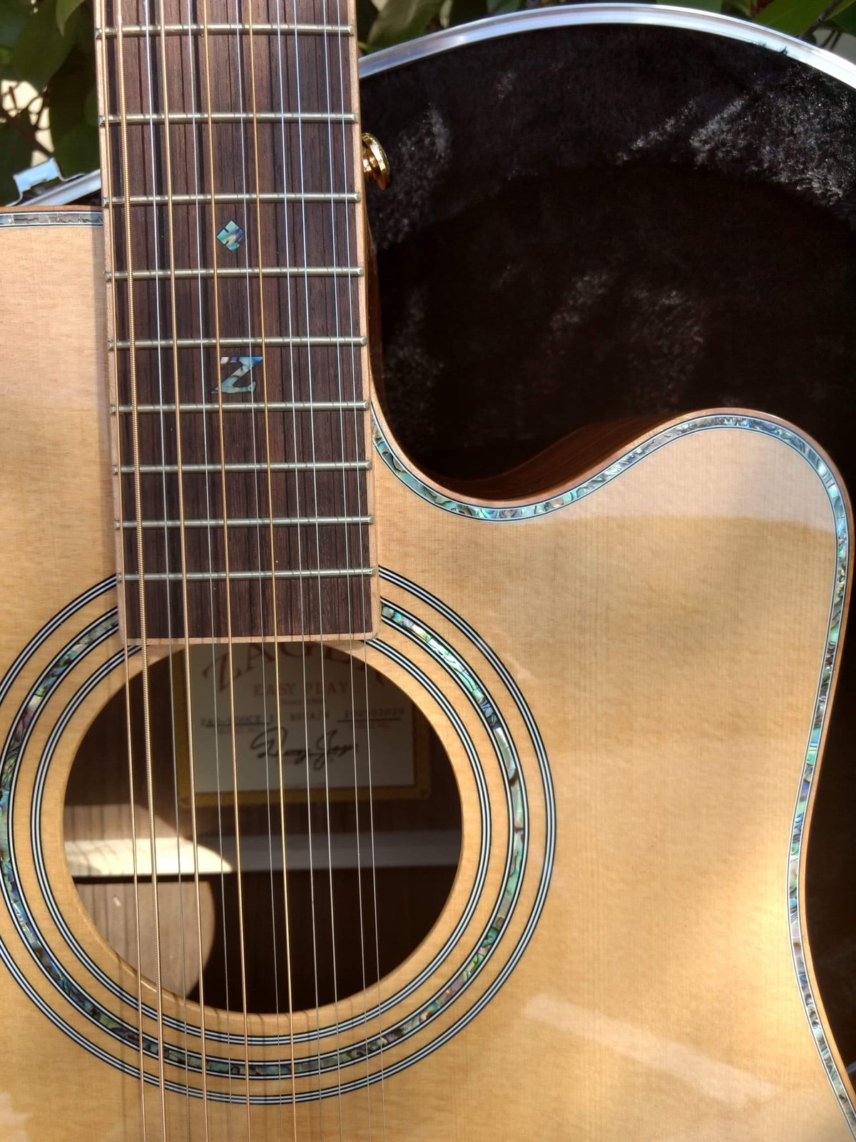 ZAD900CE 12 String Solid Spruce/Rosewood Acoustic Electric AURA Pro Series