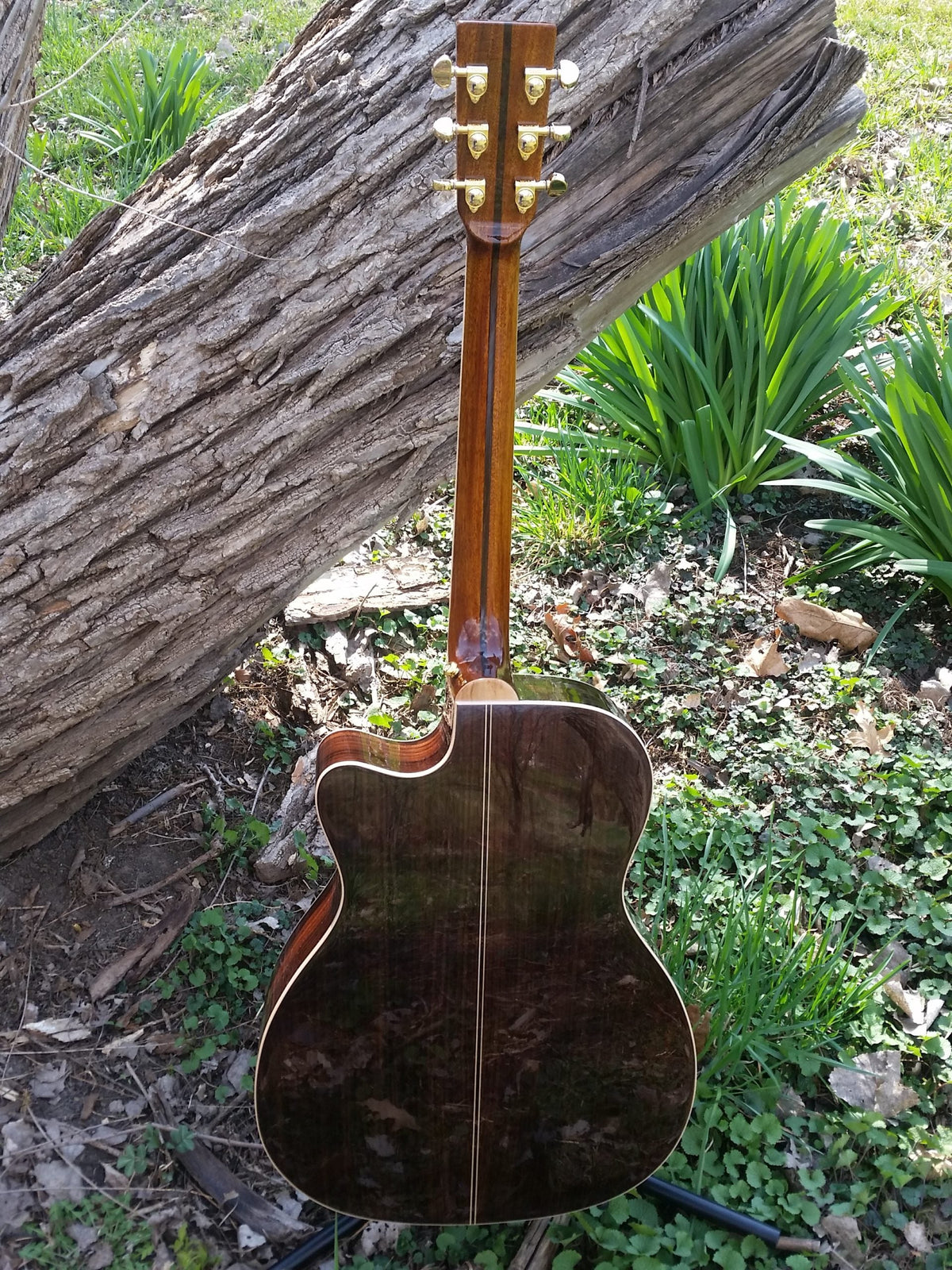 zad900ce om size guitar