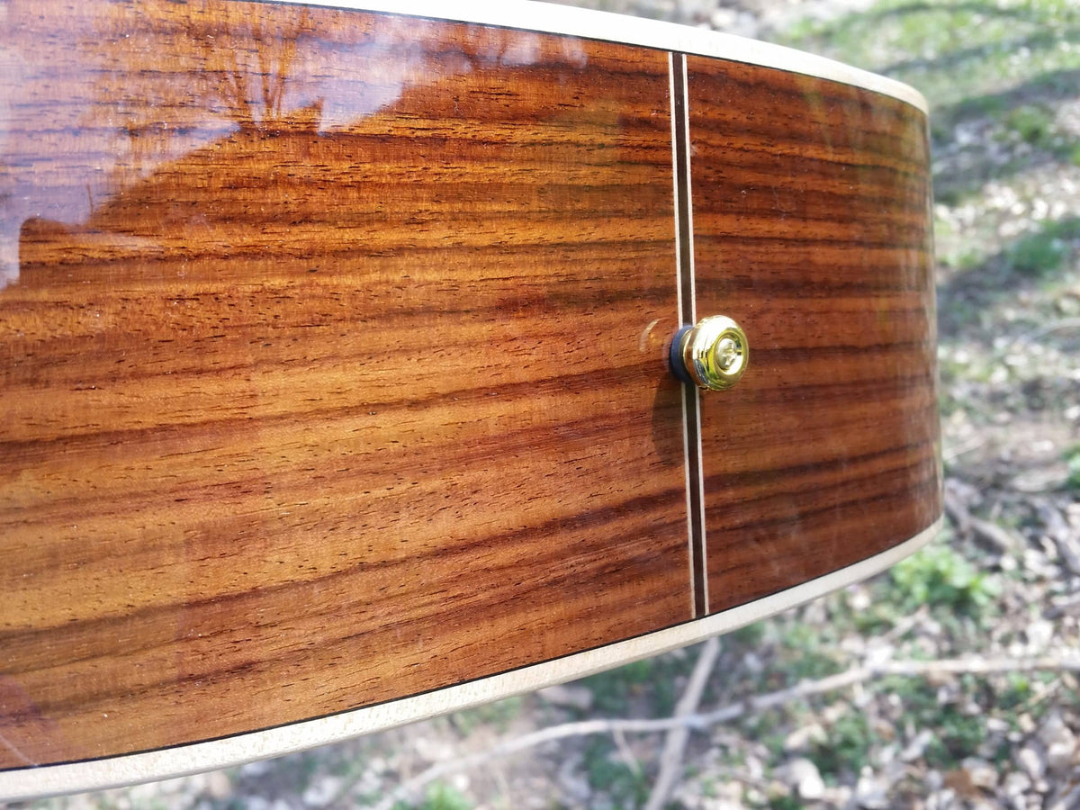zad900 rosewood acoustic guitar