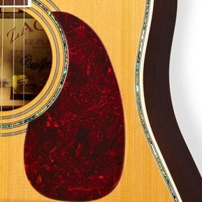 zager pick guard