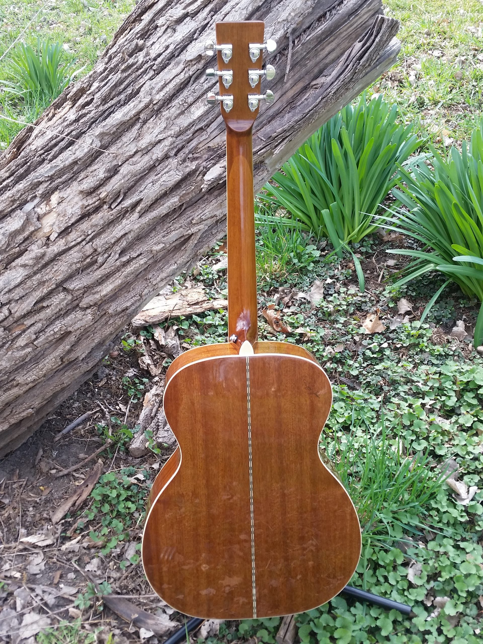 zad50 solid spruce acoustic guitar