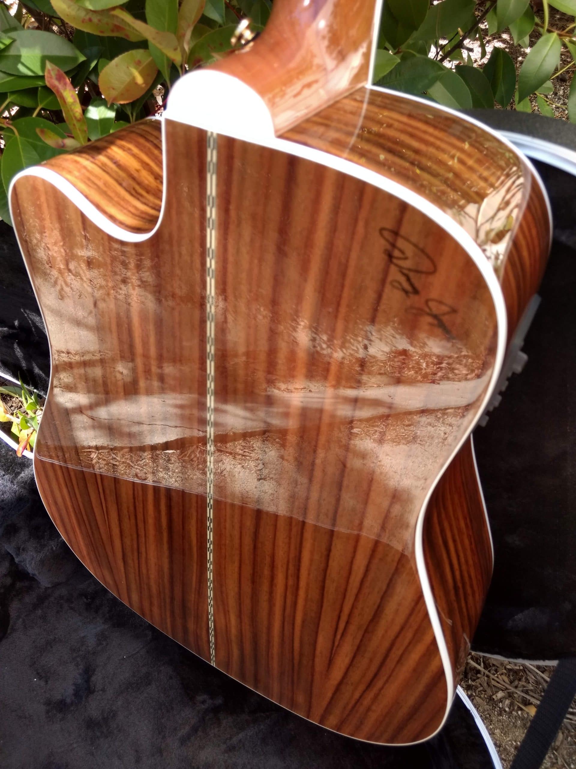 ZAD80CE Solid Cedar/Rosewood Acoustic Electric Pro Series