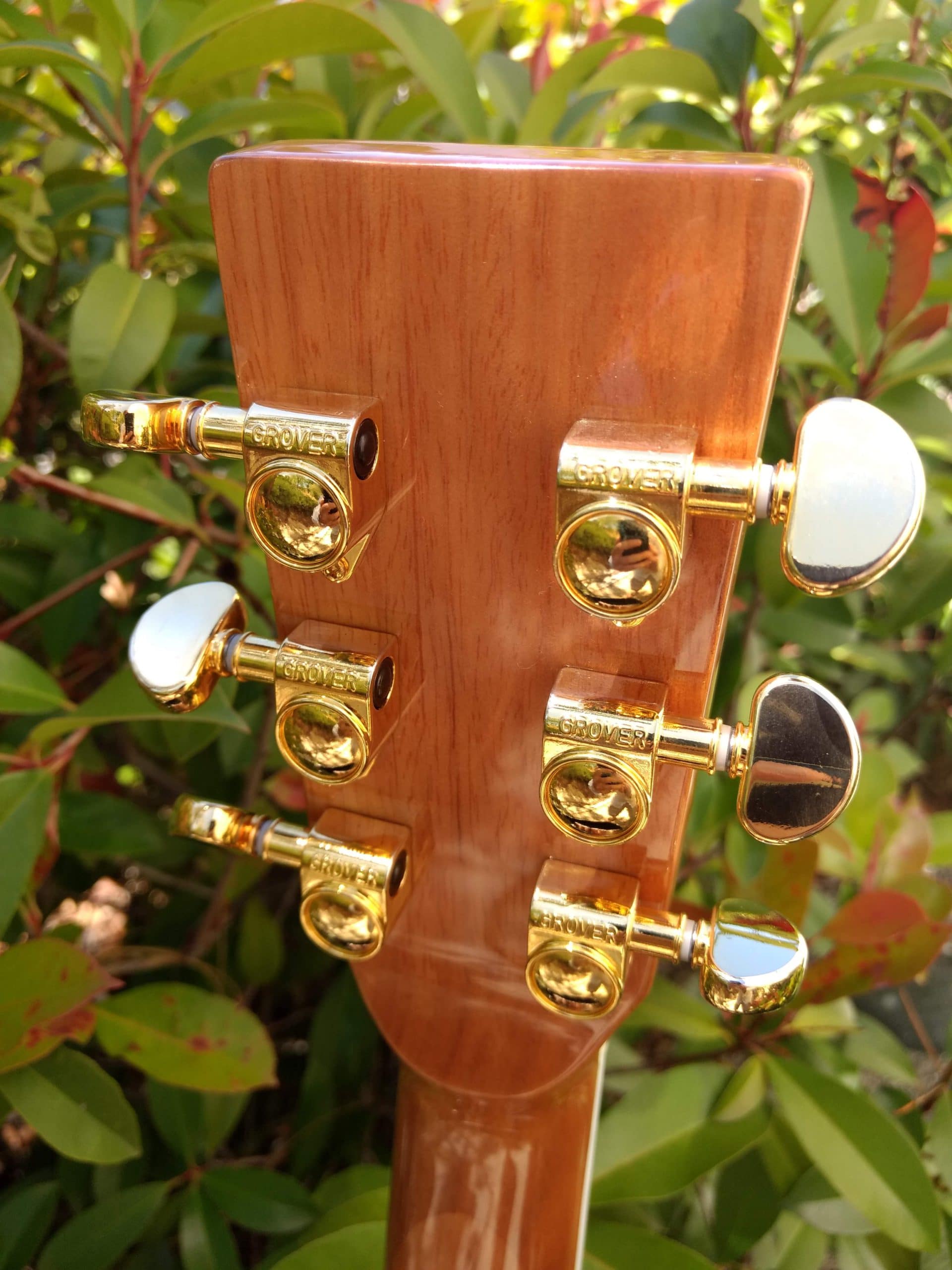 ZAD80CE Solid Cedar/Rosewood Acoustic Electric Pro Series