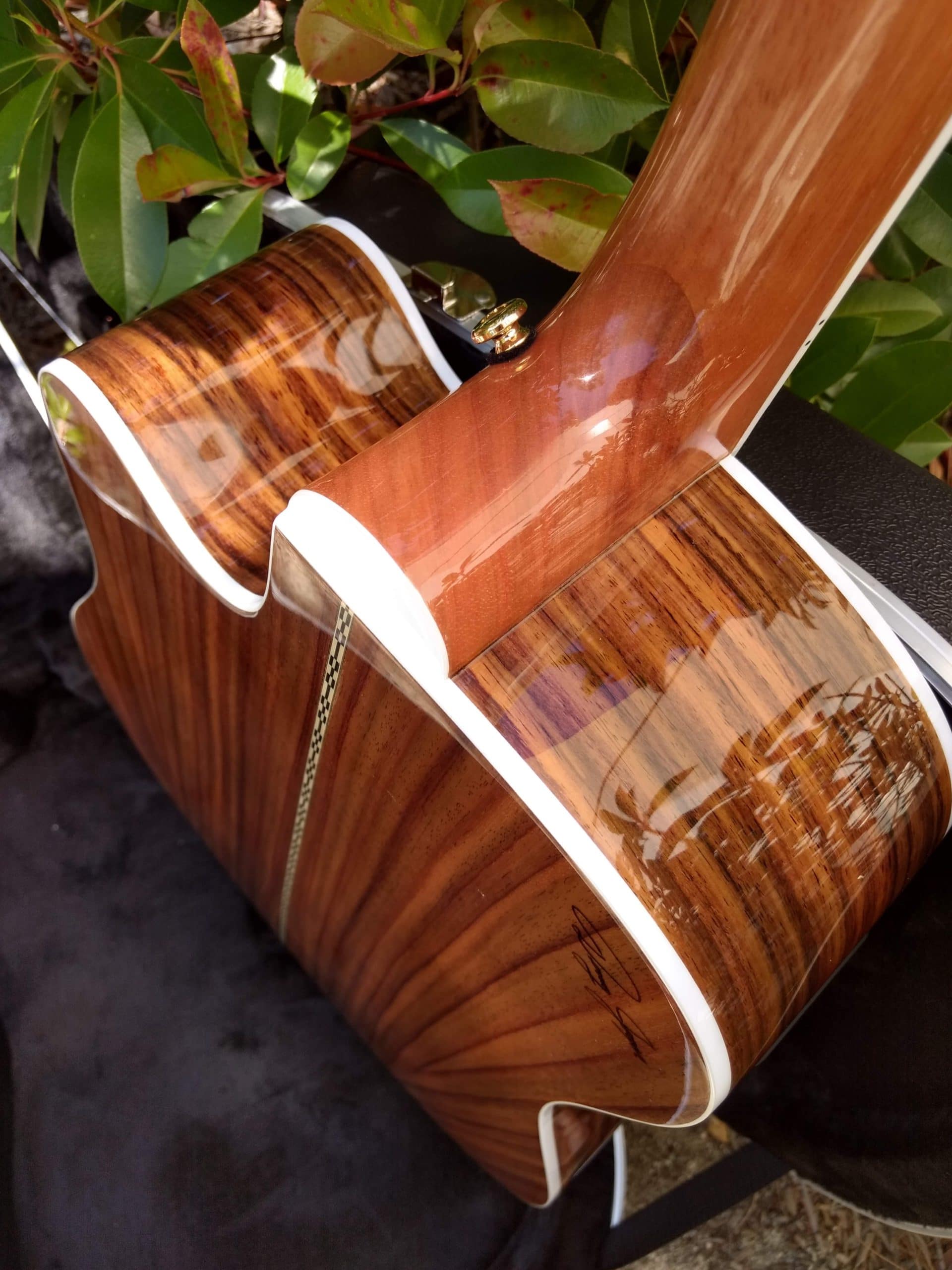 ZAD80CE Solid Cedar/Rosewood Acoustic Electric Pro Series