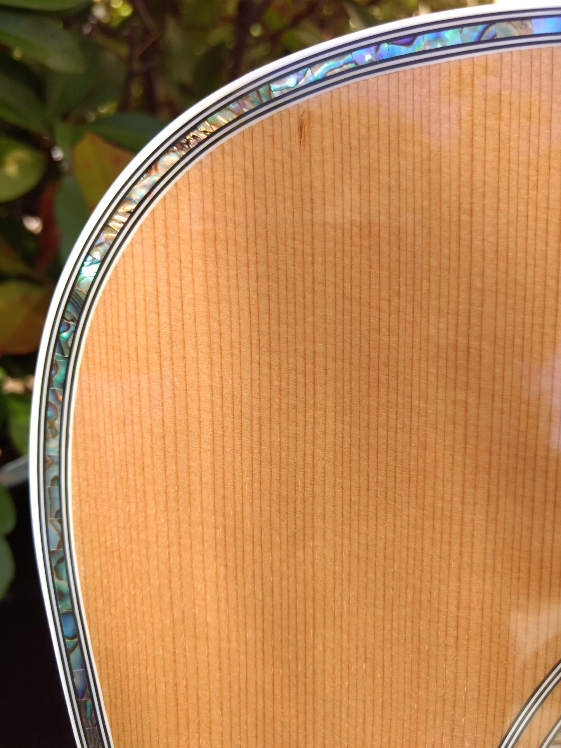 ZAD80CE Solid Cedar/Rosewood Acoustic Electric Pro Series