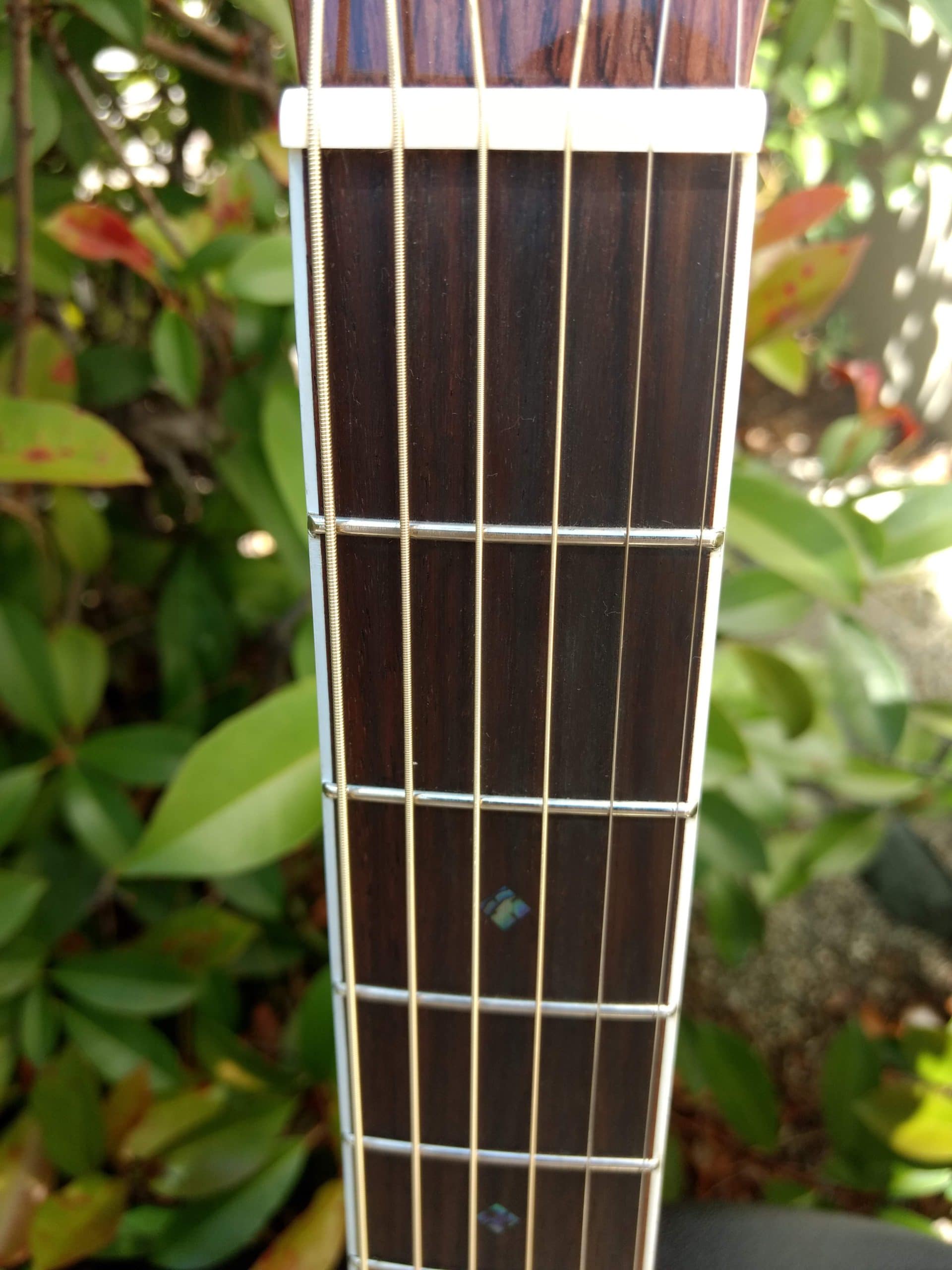 ZAD80CE Solid Cedar/Rosewood Acoustic Electric Pro Series