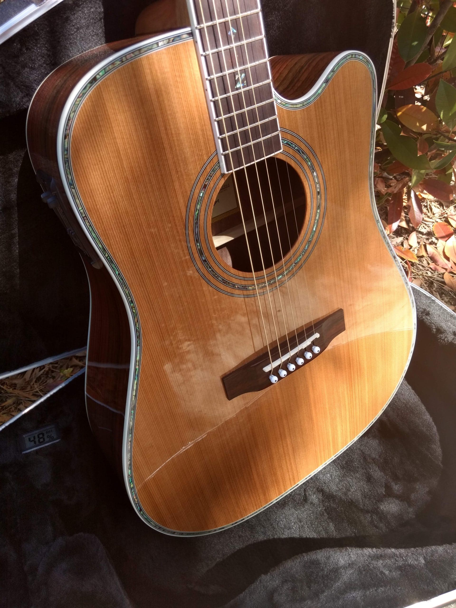 ZAD80CE Solid Cedar/Rosewood Acoustic Electric “AURA” Pro Series
