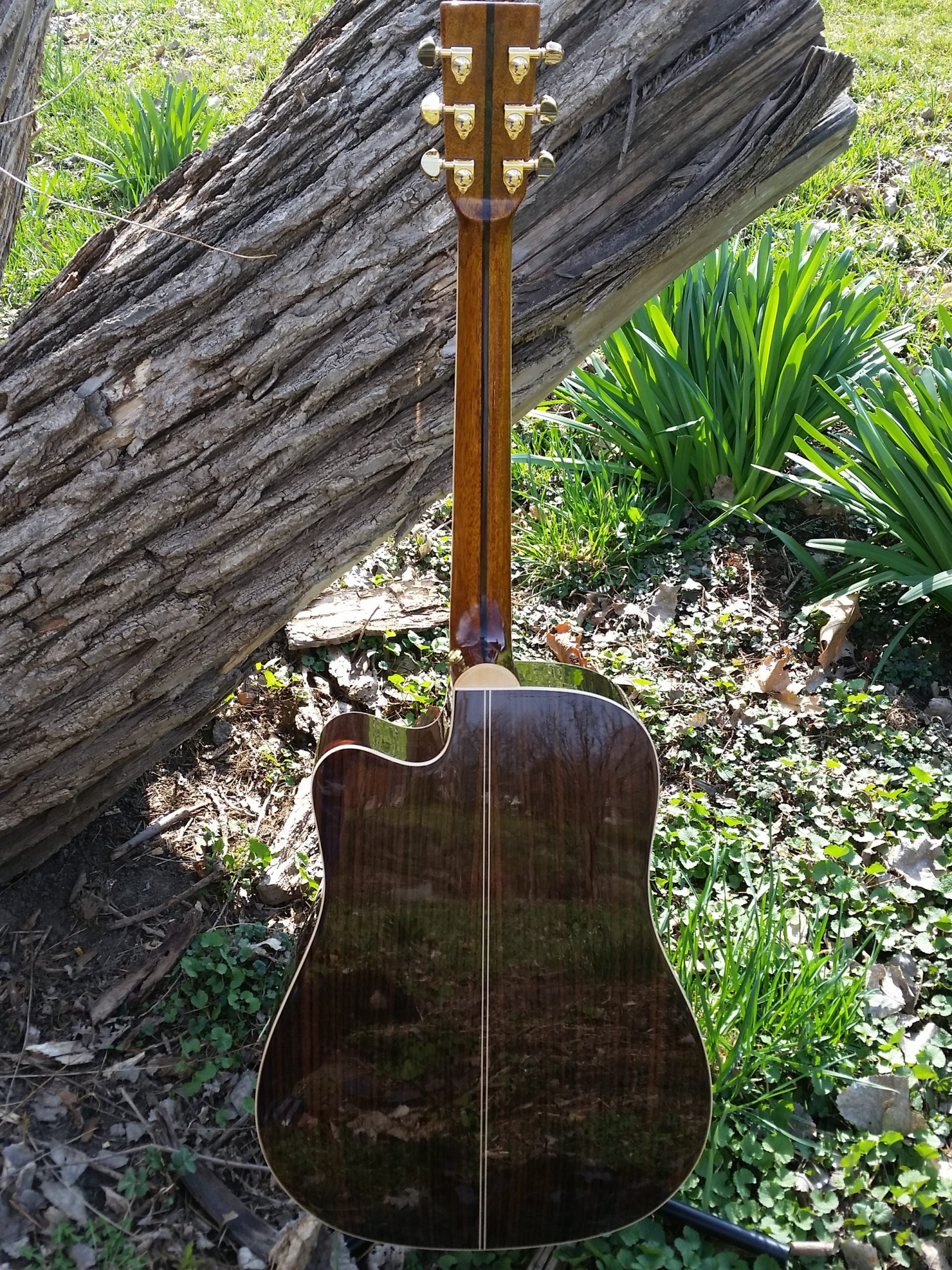 zad900ce solid spruce acoustic guitar