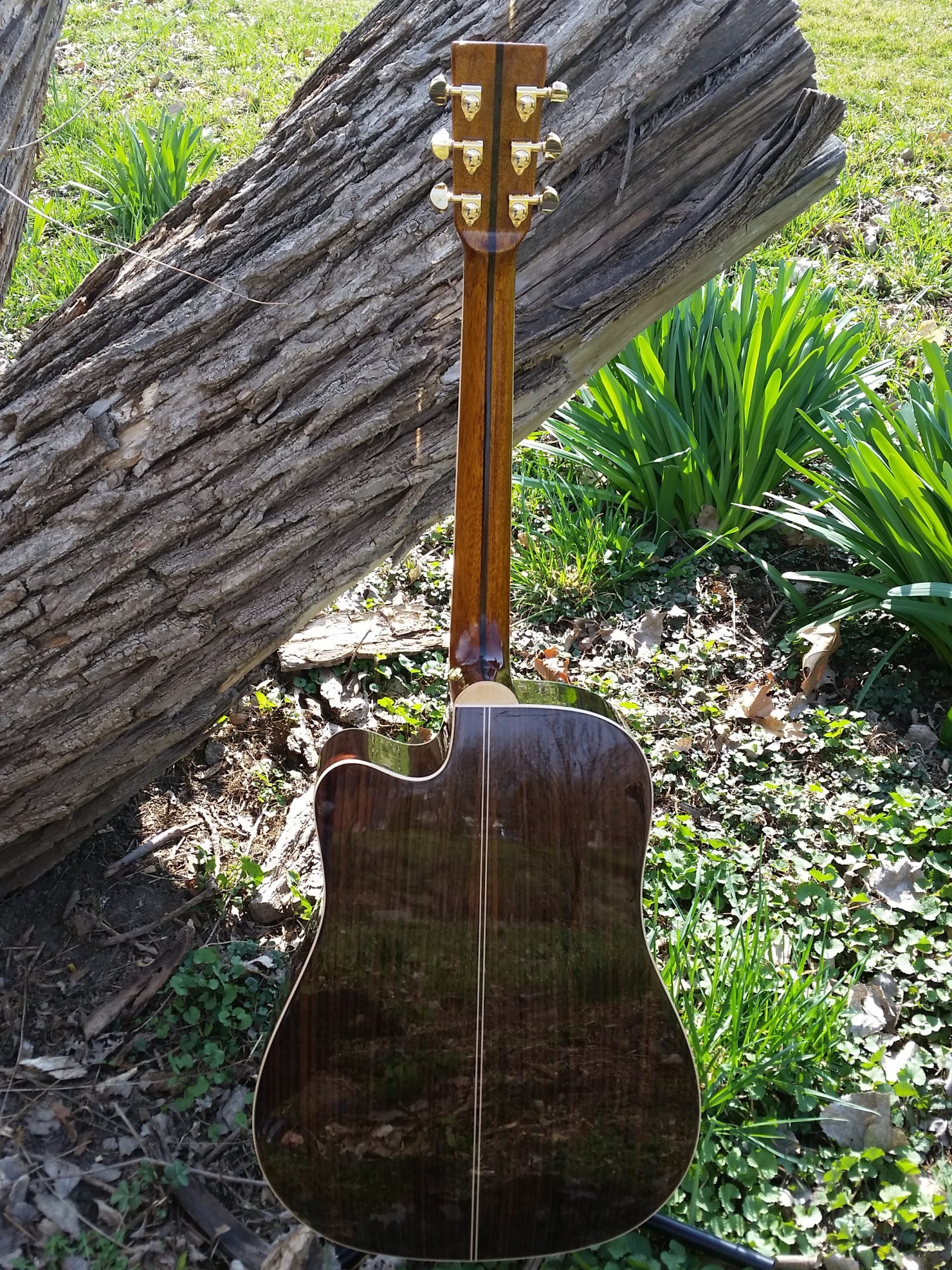 zad900ce solid spruce acoustic guitar