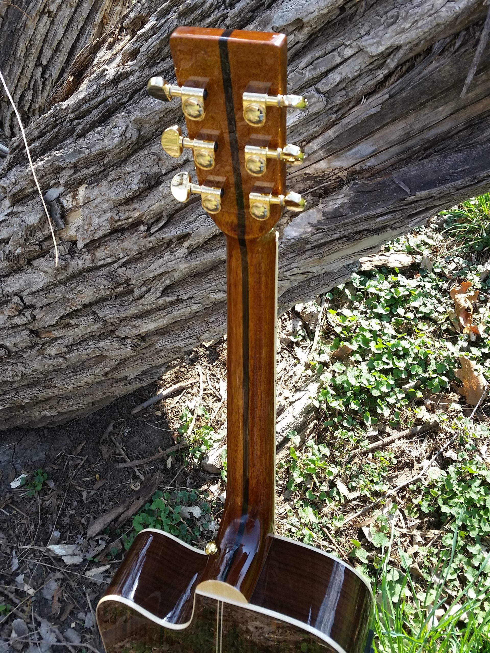 zad900ce solid spruce acoustic guitar