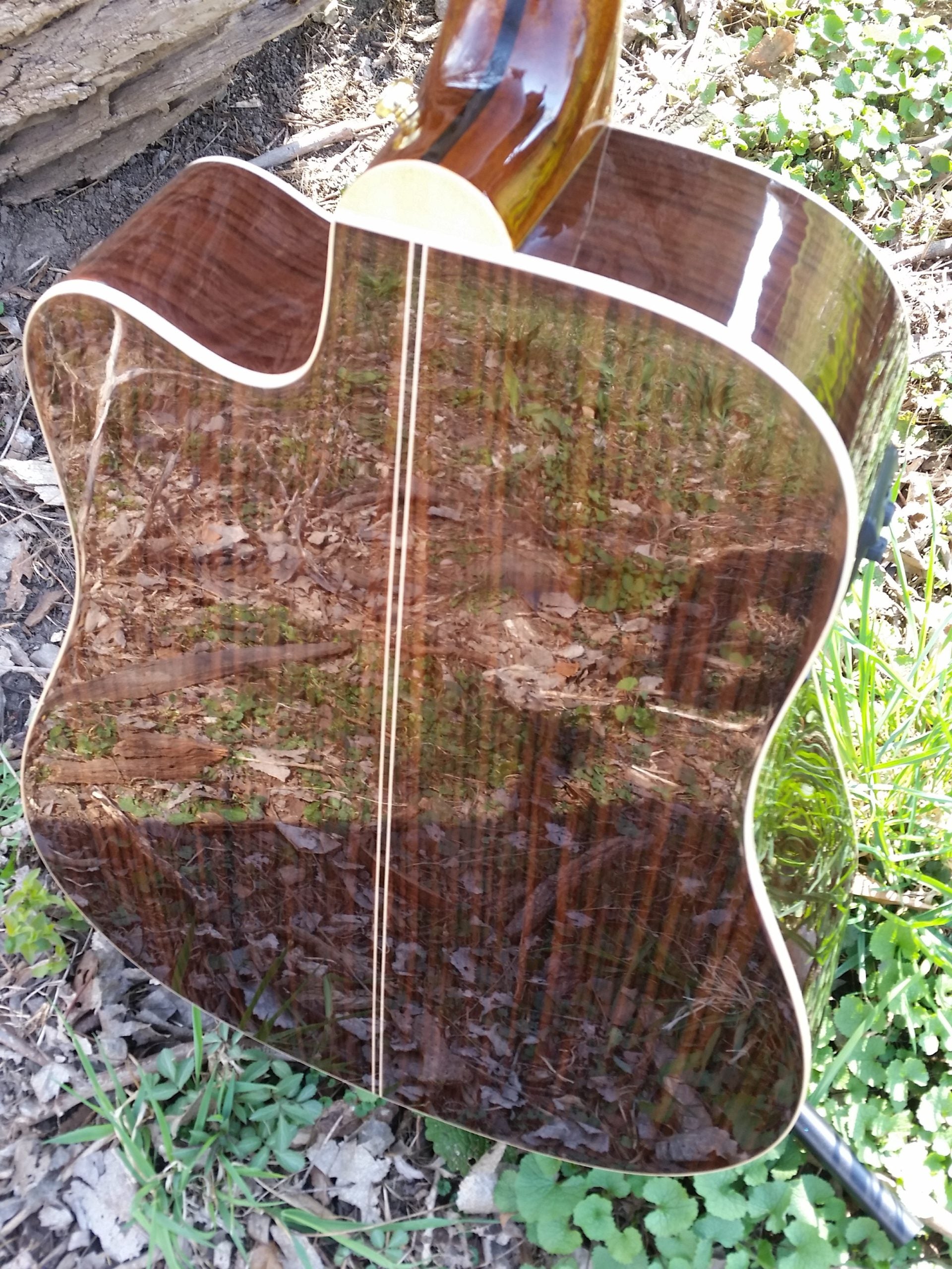 zad900ce solid spruce acoustic guitar