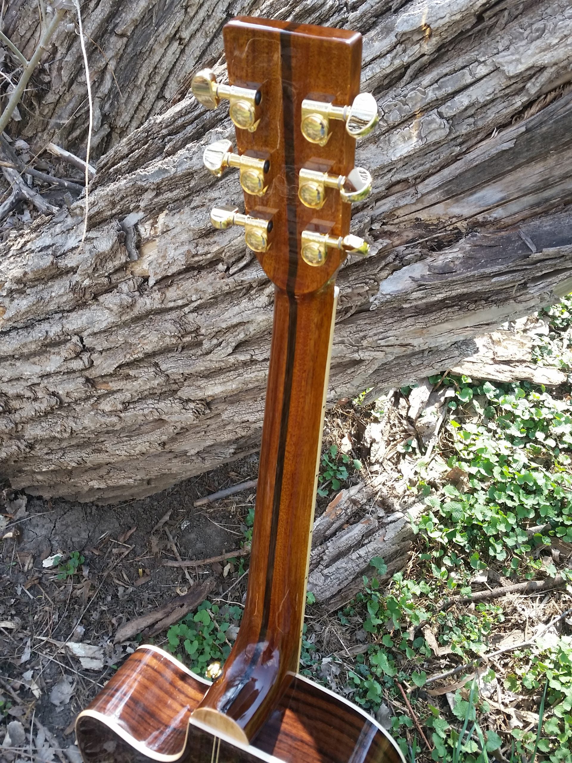 zad900ce om size guitar