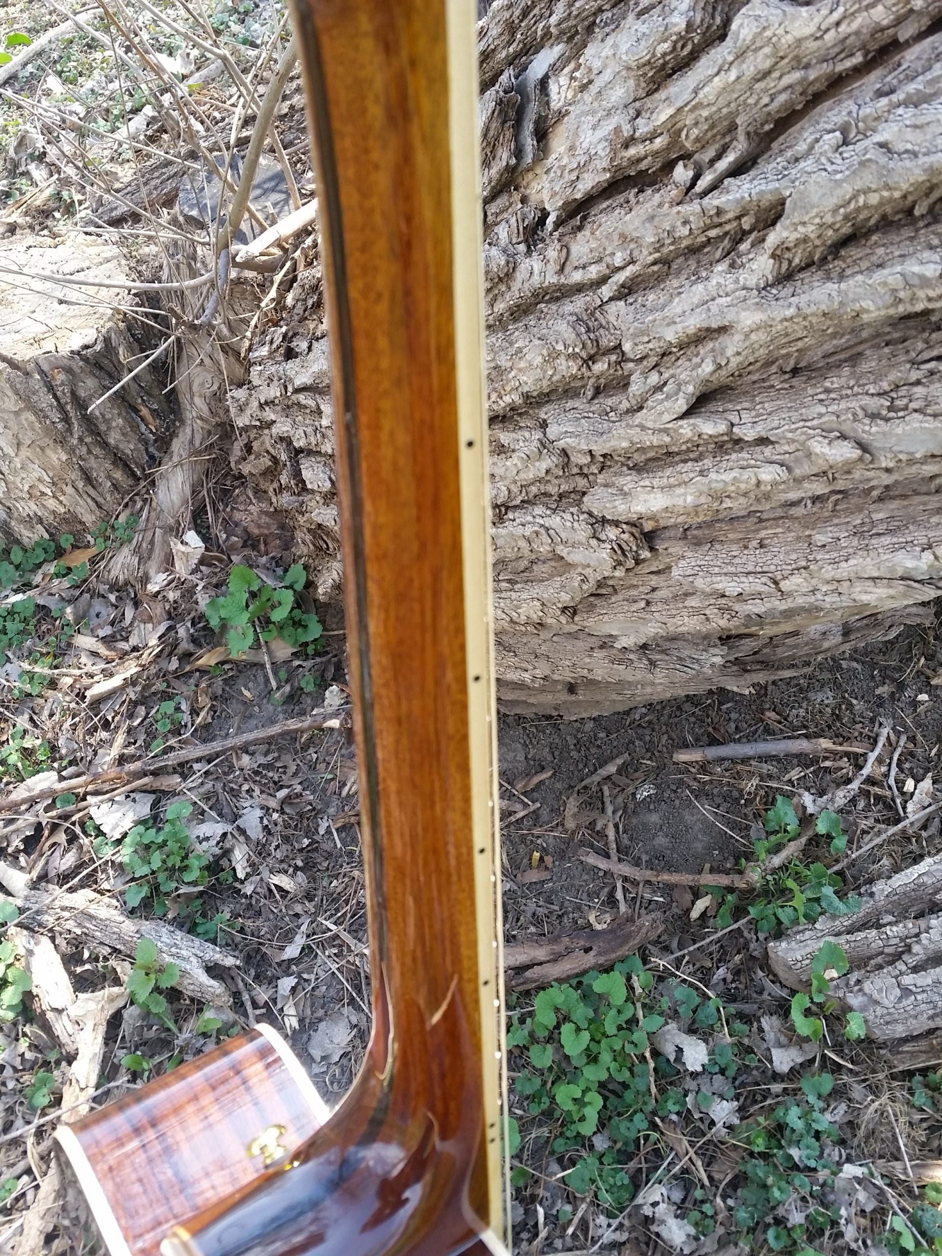 zad900ce om size guitar