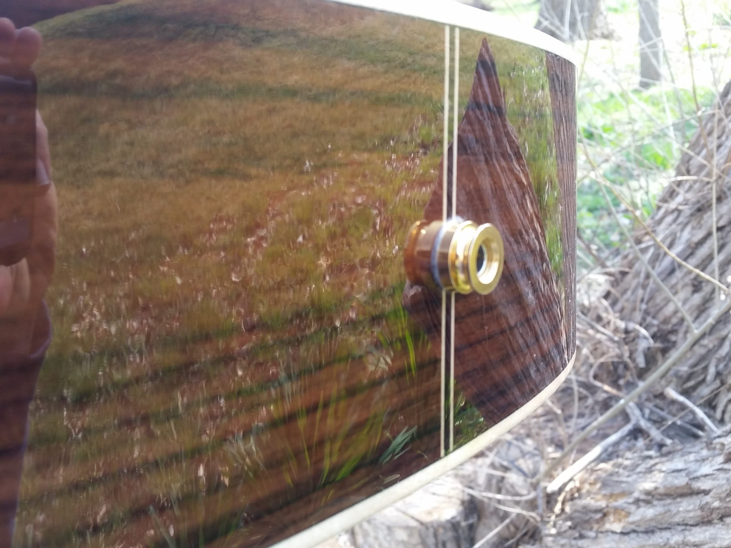 zad900ce om size guitar