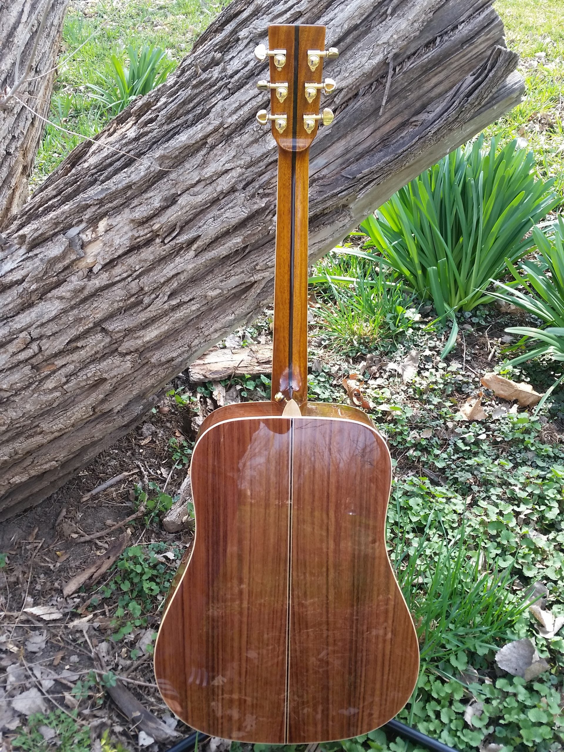 zad900 rosewood acoustic guitar