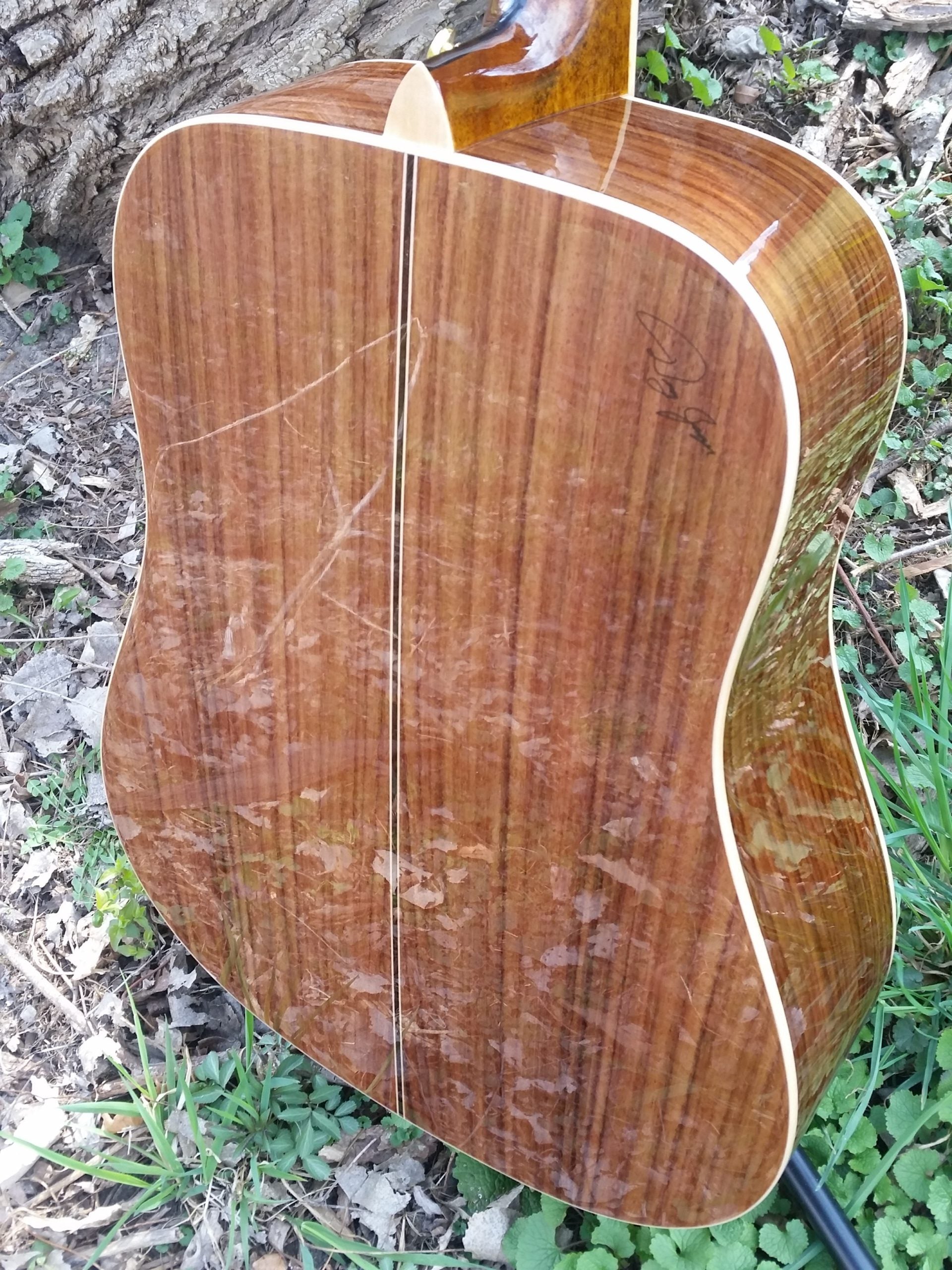 zad900 rosewood acoustic guitar