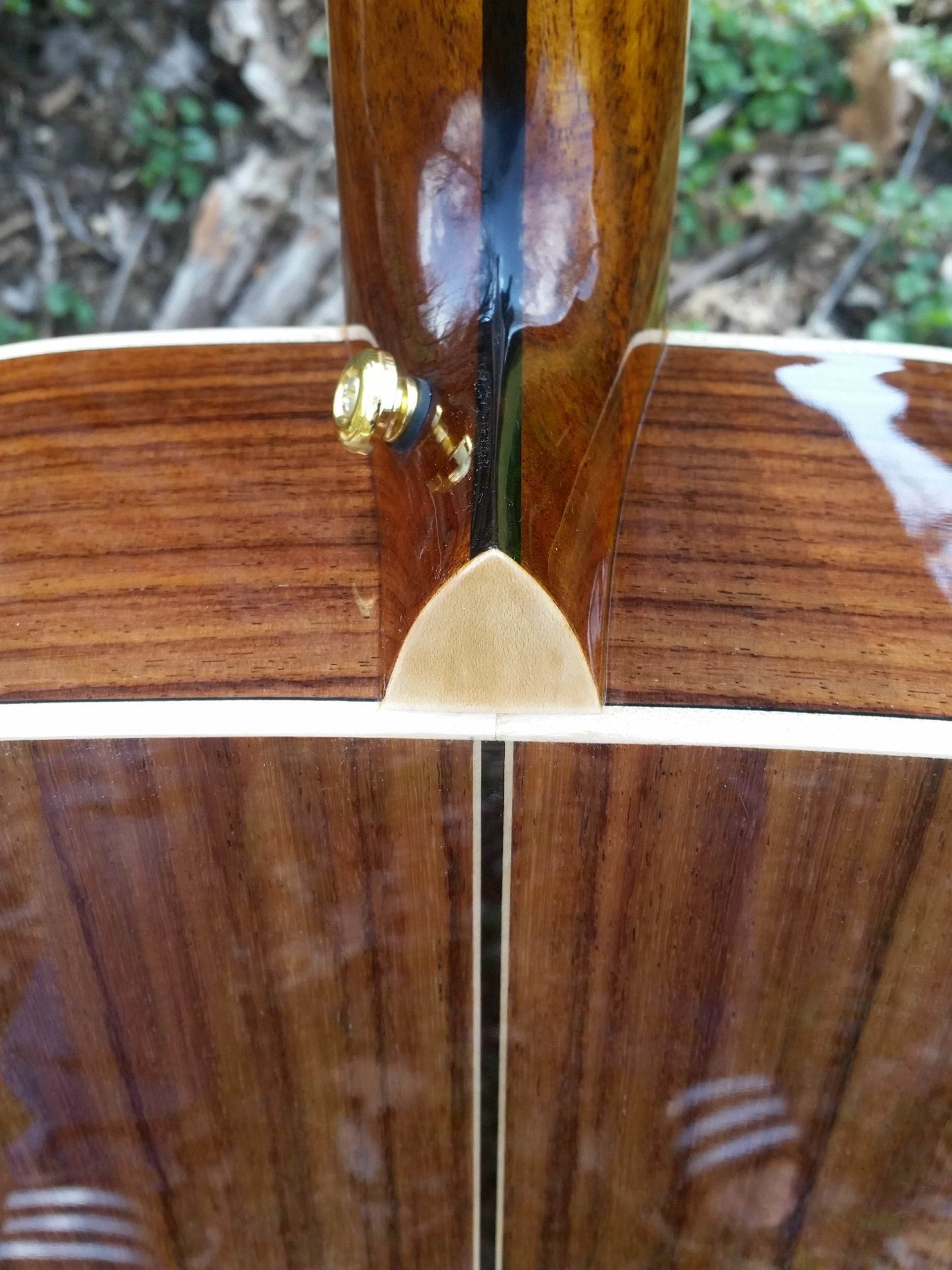 zad900 rosewood acoustic guitar