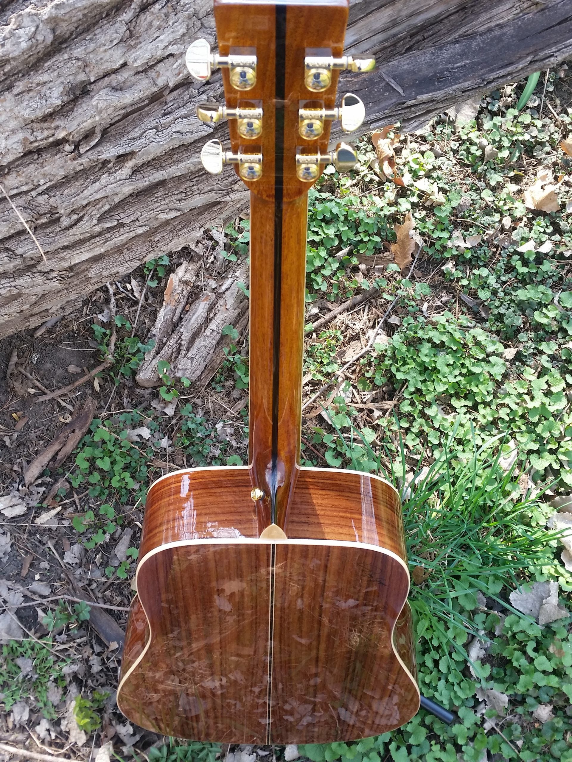 zad900 rosewood acoustic guitar