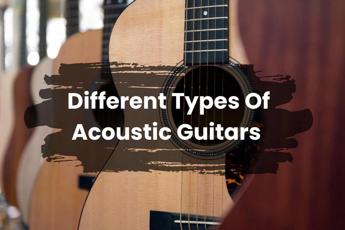 Different Types Of Acoustic Guitars Explained And Recommended
