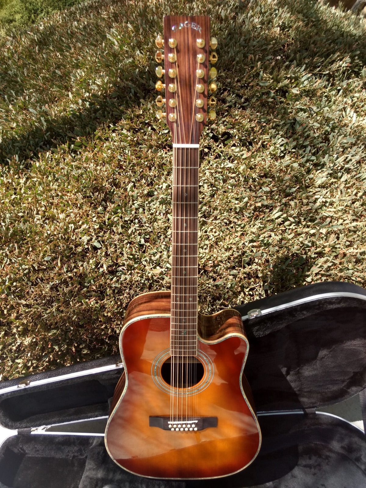 #2010 ZAD 900CE VS 12-String