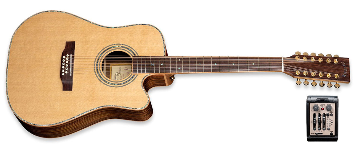 ZAD900CE 12 String Solid Spruce/Rosewood Acoustic Electric AURA Pro Series