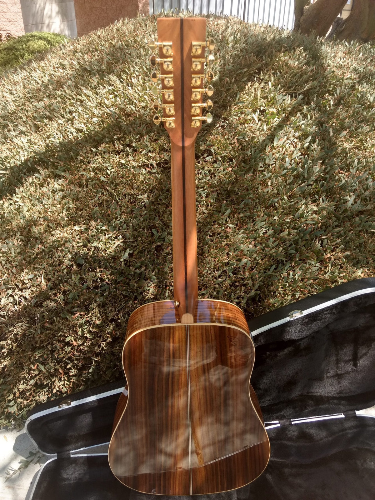 ZAD900E Solid Spruce/Rosewood Acoustic Electric AURA Pro Series Full Box Deal Of The Day