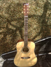 ZAD900E Solid Spruce/Rosewood Acoustic Electric AURA Pro Series Full Box