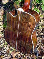 Indian Rosewood Back-sides