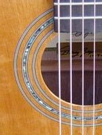 Feature Image