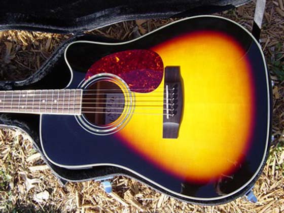 hardshell guitar wood case