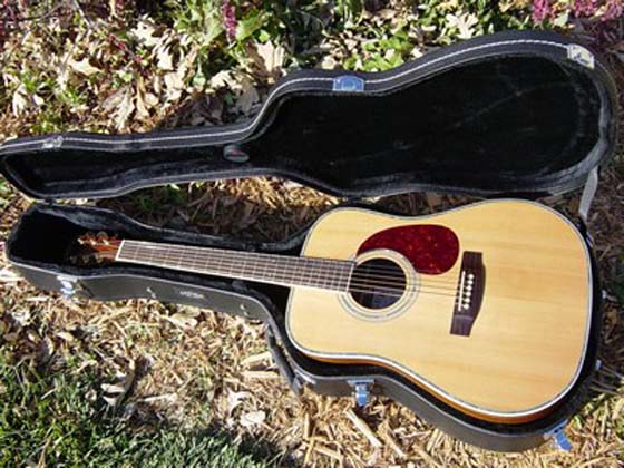 hardshell guitar wood case