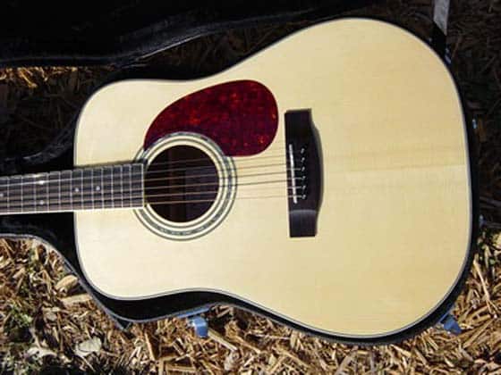 hardshell guitar wood case