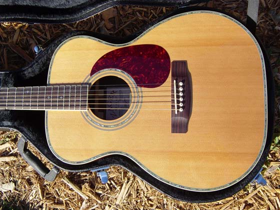 hardshell guitar wood case