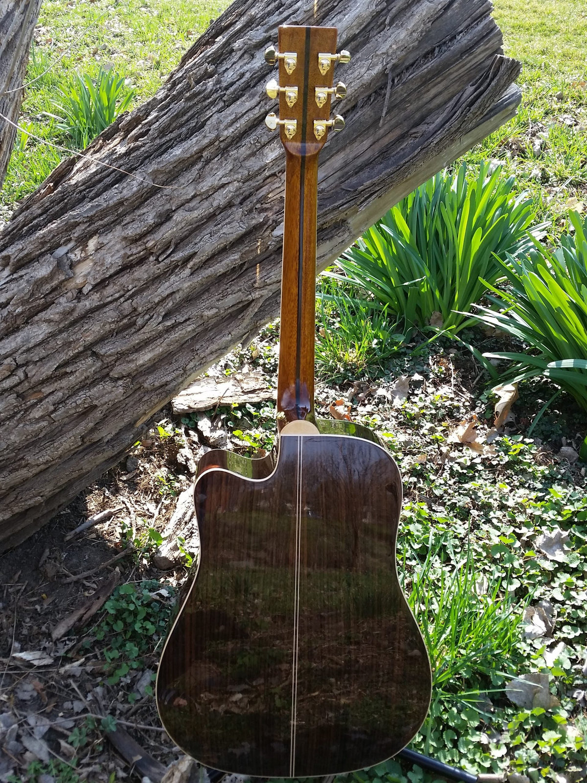 zad900ce solid spruce acoustic guitar