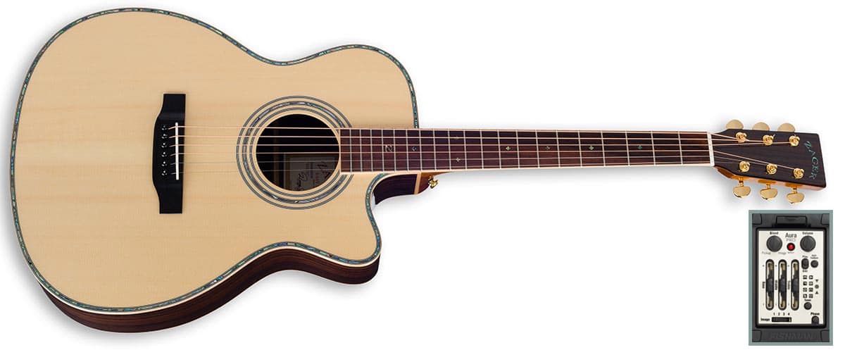 zad900ce acoustic guitar