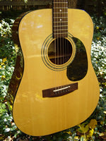 Zager EZ-Play ZAD20 Acoustic Natural