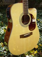 Zager EZ-Play ZAD50CE Full Size Acoustic Electric