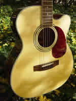 Zager EZ-Play ZAD50CE OM Size Acoustic Electric