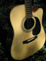 Zager EZ-Play ZAD50CE Acoustic Electric Special Edition