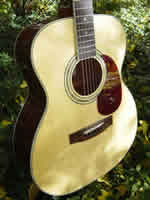 Zager EZ-Play ZAD50 OM Size Acoustic