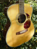 Zager EZ-Play ZAD80 OM Size Acoustic