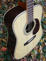 Zager EZ-Play ZAD900 Professional