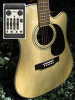 Zager EZ-Play ZAD900CE Professional Acoustic Electric