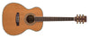 ZAD80 Solid Cedar/Rosewood Acoustic Pro Series Smaller "OM" Size